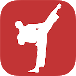 Mastering Taekwondo - Get Black Belt at Home icon