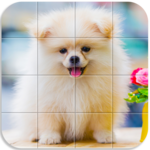 Tile Puzzle Pomeranian Dogs for PC