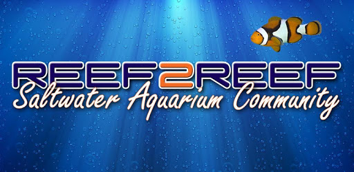 REEF2REEF Saltwater Aquarium Community PC screenshot REEF2REEF Saltwater Aquarium Community PC screenshot