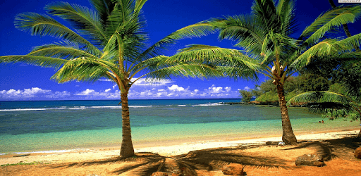 Hd Nature Wallpaper PC screenshot