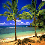 Hd Nature Wallpaper icon