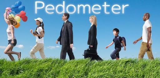 Pedometer PC screenshot