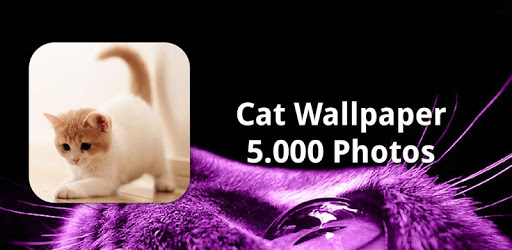 Cat Wallpapers HD ๐ฑ๐ป PC screenshot Cat Wallpapers HD ๐ฑ๐ป PC screenshot