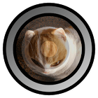 Fisheye Camera Lenses for PC Fisheye Camera Lenses for PC