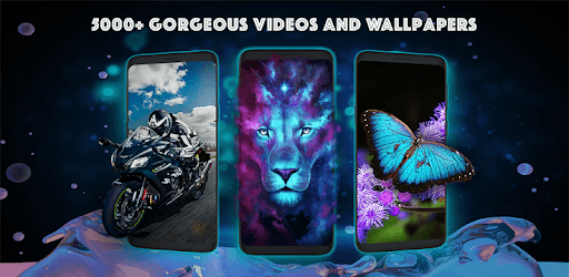 Wallpapers free - Video Wallpapers and Backgrounds PC screenshot
