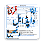 Wapda - Electricity Bill icon