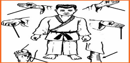 Martial Arts techniques PC screenshot