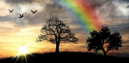 Sun Rise Free Live Wallpaper PC screenshot