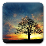 Sunset Hill Free LiveWallpaper icon