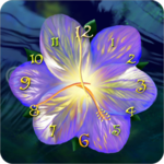 Serene flower clock HD widget for PC