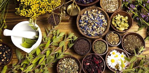 Wicca Herbalism PC screenshot