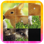 Slide Puzzle - Animal for PC Slide Puzzle - Animal for PC