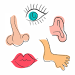 Body Parts Name for Kids icon