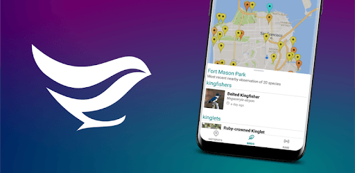 GoBird - Guide to Nearby Birds PC screenshot