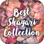 Best Shayari Collection 2018 for PC