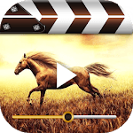 Premium Player for PC Premium Player for PC