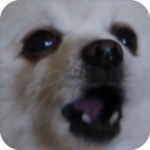 Gabe The Dog for PC Gabe The Dog for PC