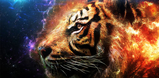 Tiger Wallpaper PC screenshot Tiger Wallpaper PC screenshot