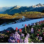 Beautiful Scenery for PC Beautiful Scenery for PC