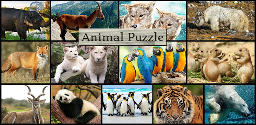 Amazing Animals Jigsaw Puzzles PC screenshot