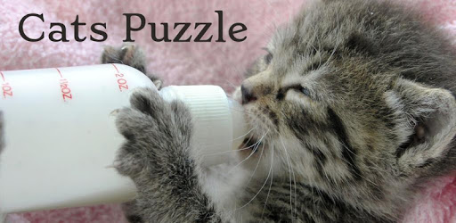 Cats & Kitten Kids Puzzle Game PC screenshot Cats & Kitten Kids Puzzle Game PC screenshot