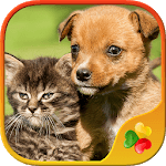 Dogs vs Cats: Kid Puzzle Games for PC