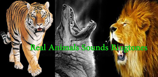 Real Animals Sounds PC screenshot