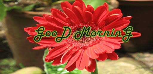 Good Morning Images PC screenshot Good Morning Images PC screenshot