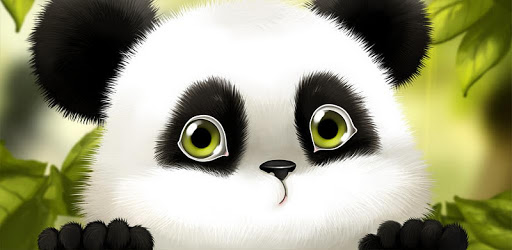 Panda Chub Live Wallpaper Free PC screenshot Panda Chub Live Wallpaper Free PC screenshot