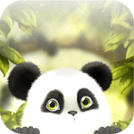 Panda Chub Live Wallpaper Free for PC Panda Chub Live Wallpaper Free for PC