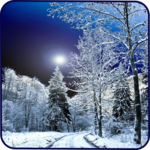 Snowfall Free Live Wallpaper for PC Snowfall Free Live Wallpaper for PC
