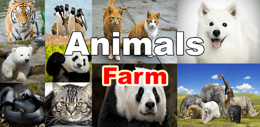 Wild Animals Videos PC screenshot Wild Animals Videos PC screenshot