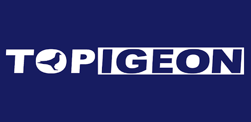 TOPigeon Online PC screenshot