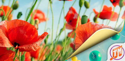 Mobile Wallpaper Free Download PC screenshot Mobile Wallpaper Free Download PC screenshot