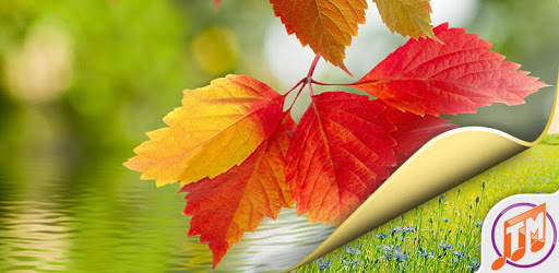 Nature Wallpaper HD Free PC screenshot