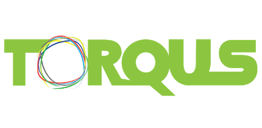 Torqus Edge PC screenshot