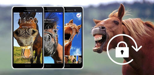 Horses Funny Animals Lock PC screenshot