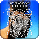 Horses Funny Animals Lock for PC