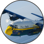 Real Airplane Sounds for PC