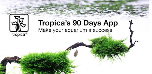 Tropica PC screenshot Tropica PC screenshot