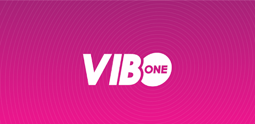 VIBO ONE PC screenshot