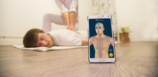 Tsubook Shiatsu PC screenshot