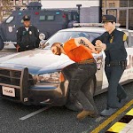 virtual police officer simulator: cops and robbers for PC