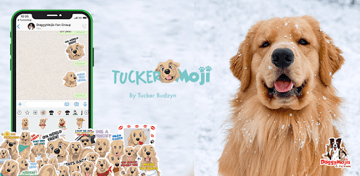 TuckerMoji - Golden Dog Stickers by Tucker Budzyn PC screenshot TuckerMoji - Golden Dog Stickers by Tucker Budzyn PC screenshot