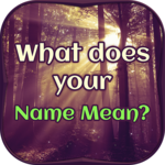 What does your Name Mean for PC What does your Name Mean for PC