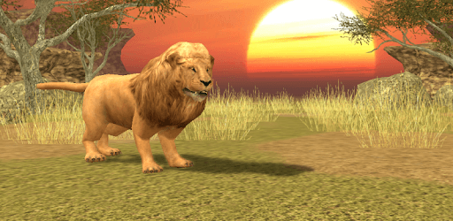 Wild Lion Simulator 3D PC screenshot