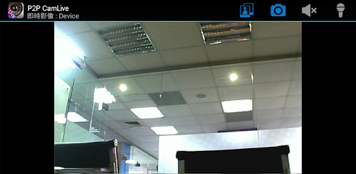 P2PCamLive PC screenshot