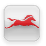 TVSM Service for PC TVSM Service for PC