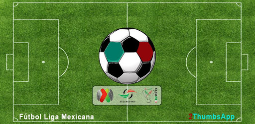 Soccer Mexican League PC screenshot