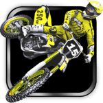 2XL MX Offroad for PC